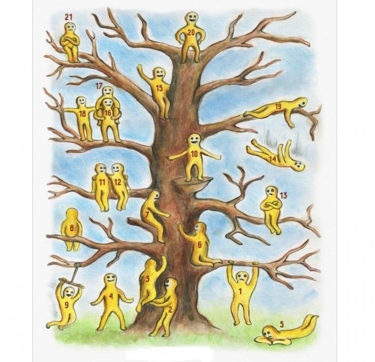 test del arbol