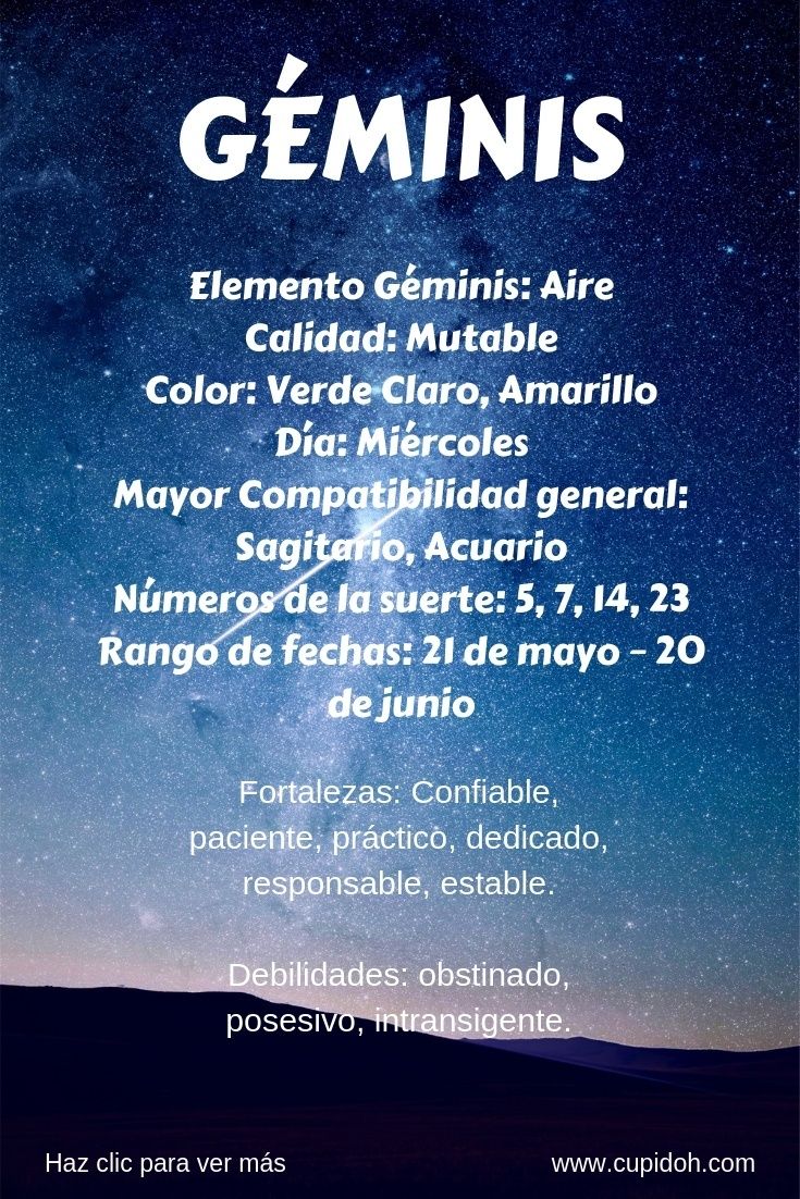 GEMINISPIN