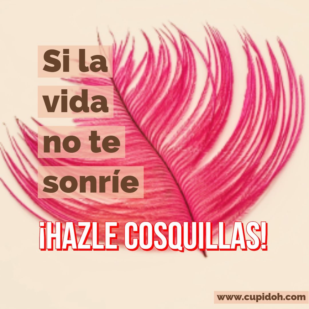 si la vida no te sonrie