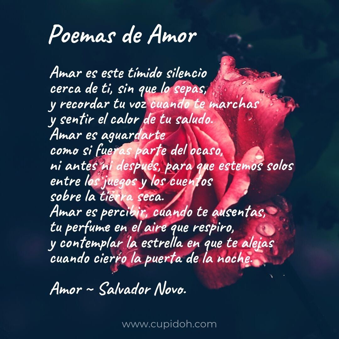 poemas de amor