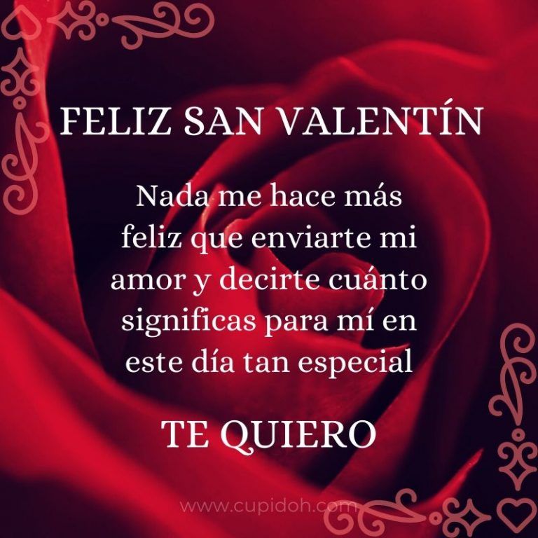rosa día de los enamorados