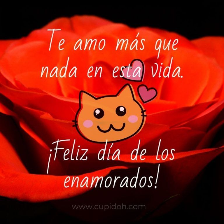 San valentin