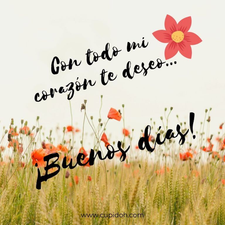 fuenos días