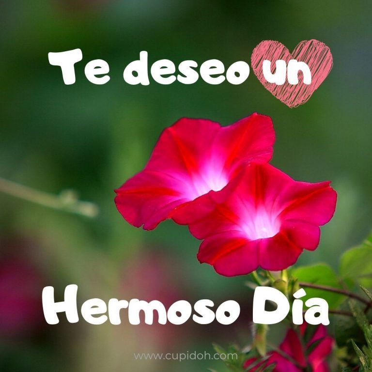 lindo día