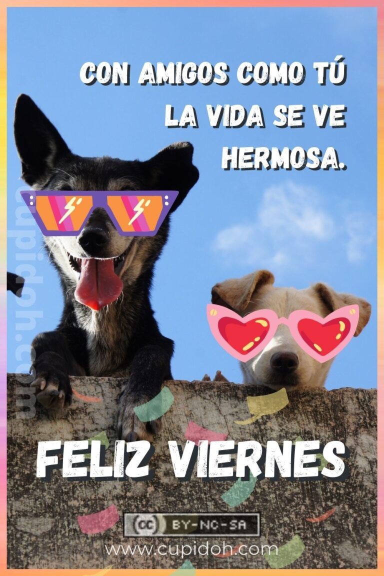 Feliz viernes