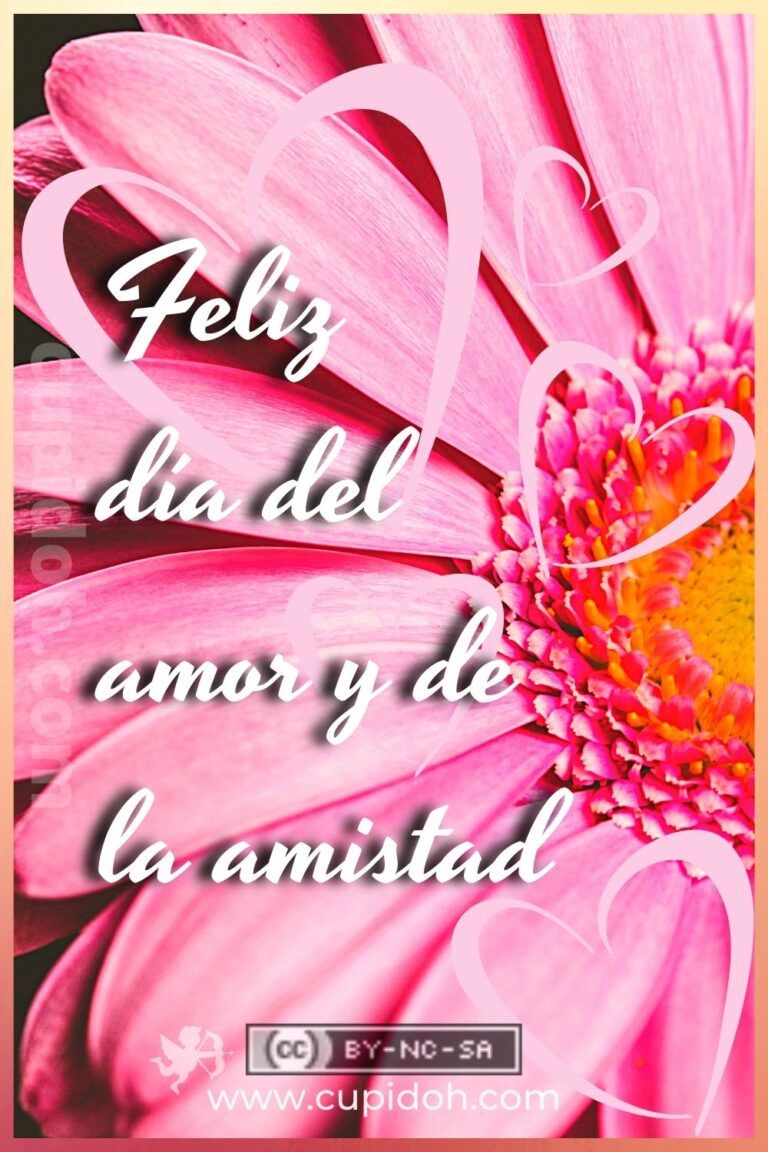 Día del amor y de la amistad