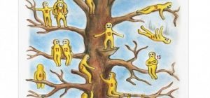 test del arbol