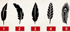 Plumas personalidad